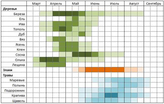 Периоды цветения дуба в средней полосе России