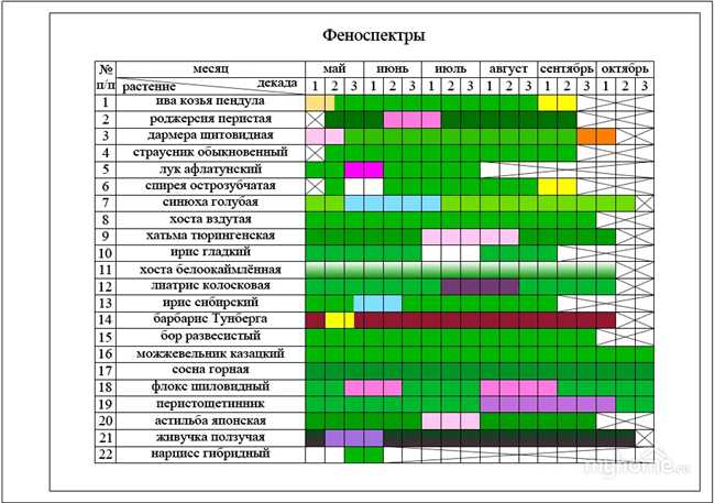 Когда происходит цветение дуба в средней полосе России: периоды и особенности