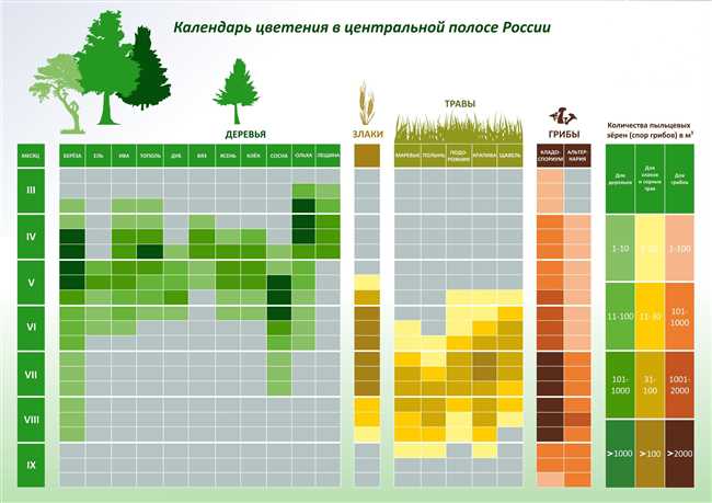 Что определяет время зацветания березы?