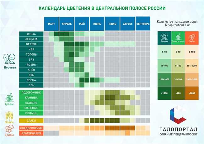 Раннее весеннее цветение