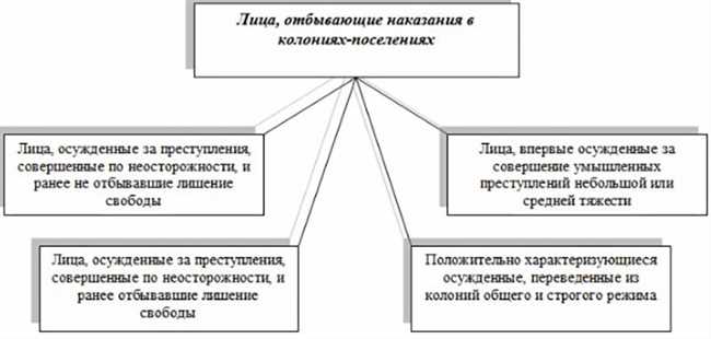 Что такое колония поселений?