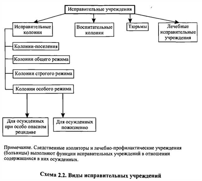 Колония поселений: определение и основные характеристики