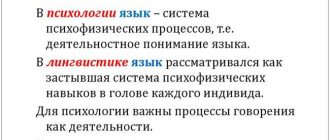 Коррелят в лингвистике: понятие, значение и особенности с его использованием