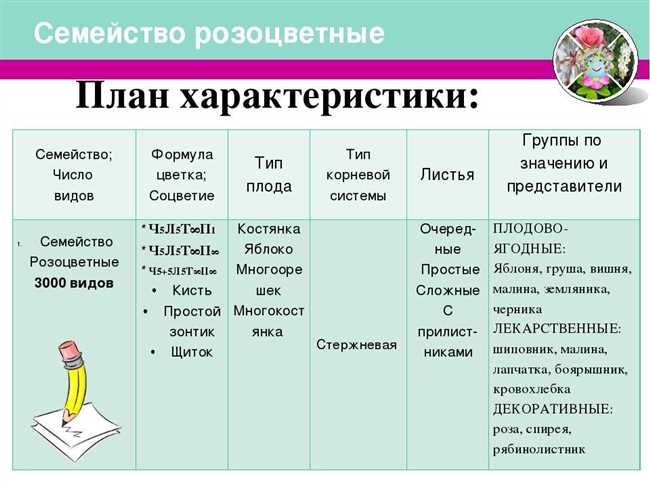 Кто такие сеголетки: особенности, характеристики, роли и примеры использования