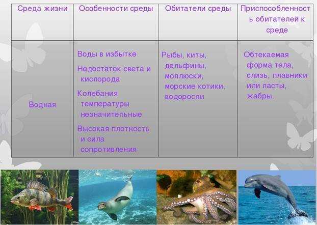 Биология 5 класс таблица среды обитания организмов. Биология 5 класс тема среды жизни планеты земля таблица. Среды обитания организмов. Водная среда обитания организмов. Организмы обитающие в водной среде обитания.