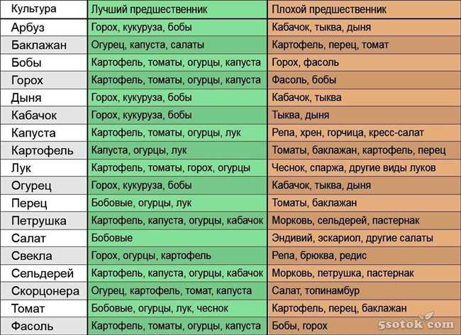 Переход к посадке других овощей