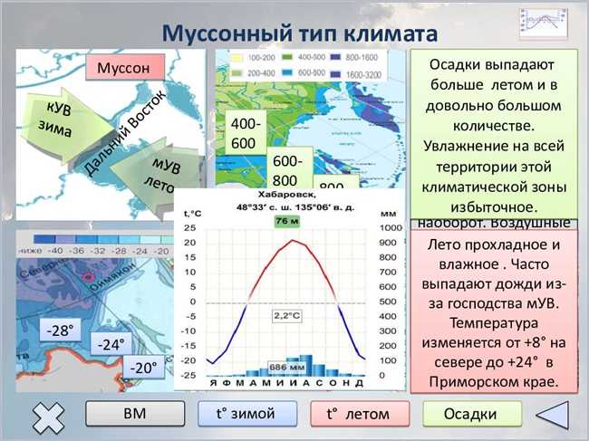 Виды мусонов