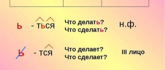 На модели или на моделье - как правильно пишется — советы и правила