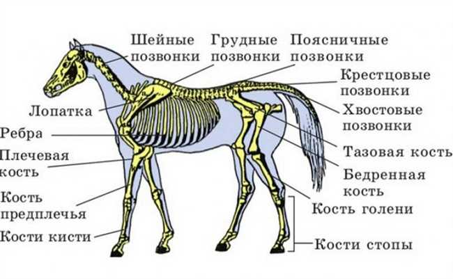 Другие пользы