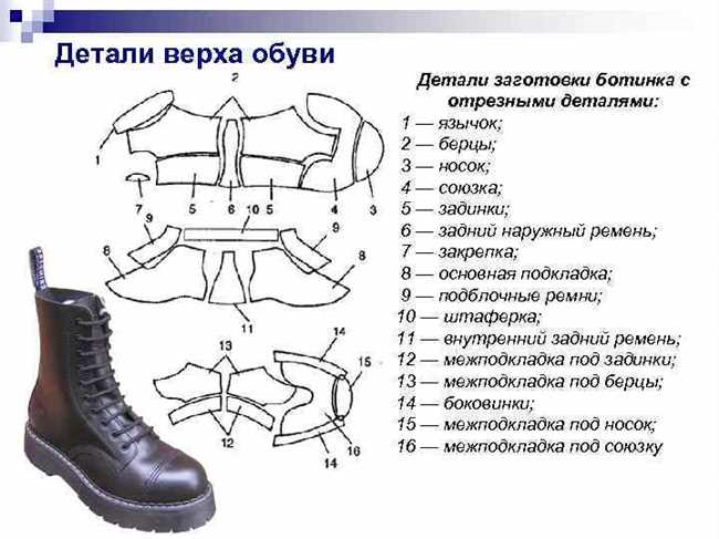 Названия деталей обуви: полный разбор всех элементов обуви и туфлей