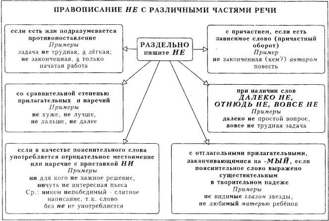 3. Использование в разных формах и падежах