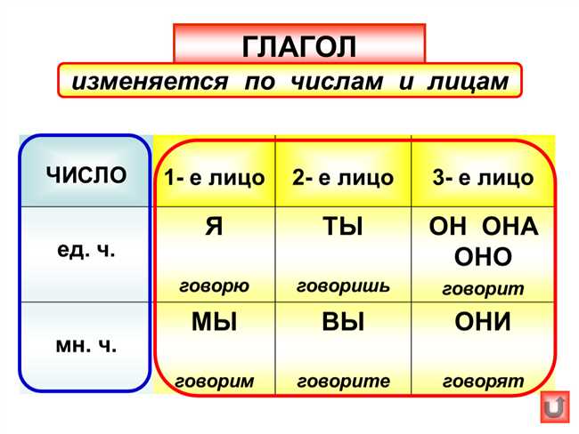 Очки в русском языке: правила образования единственного числа слова