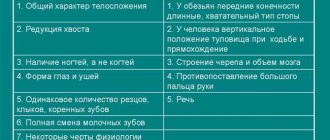 Онейромантия: что это такое, какие особенности и примеры сновидений существуют