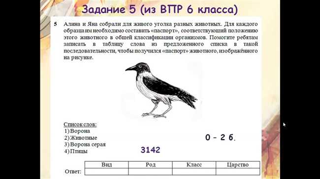 Оптимальные способы ответа на вопросы о северном олене и лишайнике в ВПР Биология 5 класс