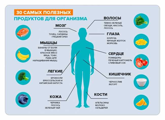 Определение органогенов