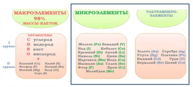 Виды органогенов