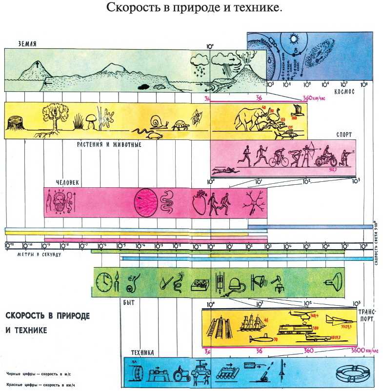 Основная единица длины в СИ и причины ее выбора