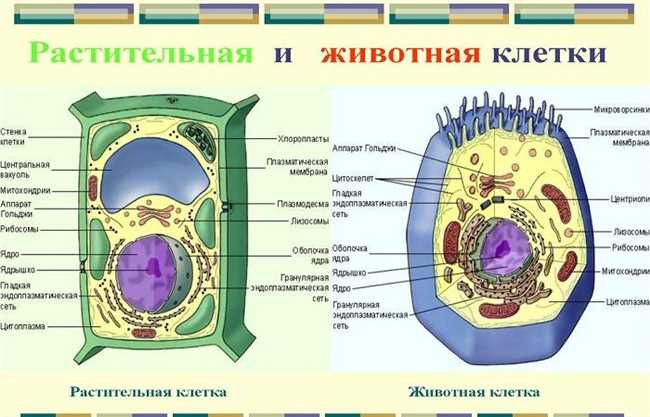 Механизмы питания