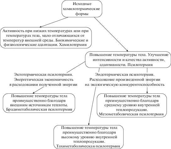 Основные признаки и характеристики холоднокровных людей: как их определить