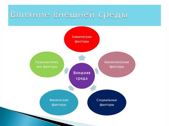 Особенности организменной среды: узнайте, как внешняя среда влияет на организм человека