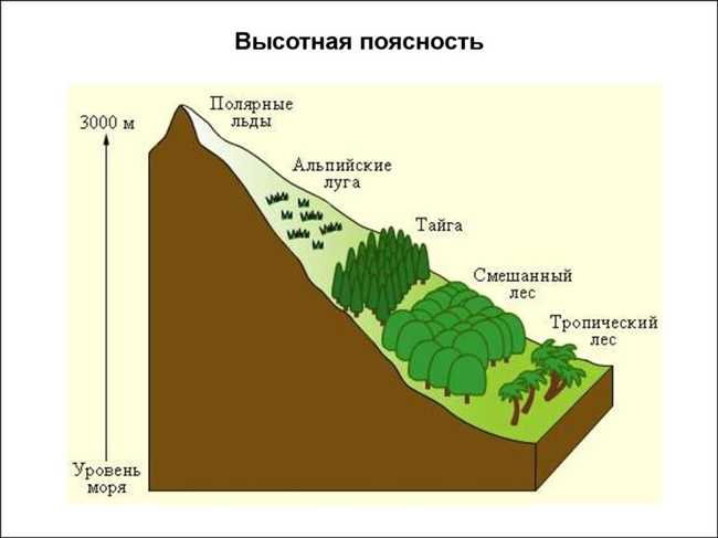 Географическое положение: ключевой фактор формирования высотных поясов в горах