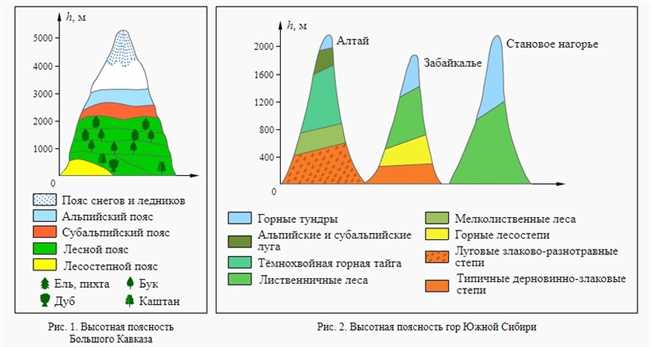 От чего зависит количество высотных поясов в горах: факторы формирования и влияние на климат