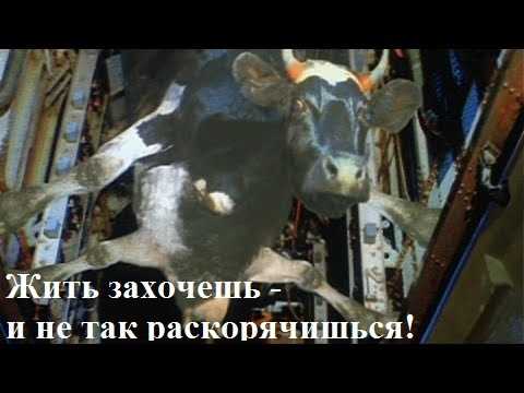 Исторический контекст