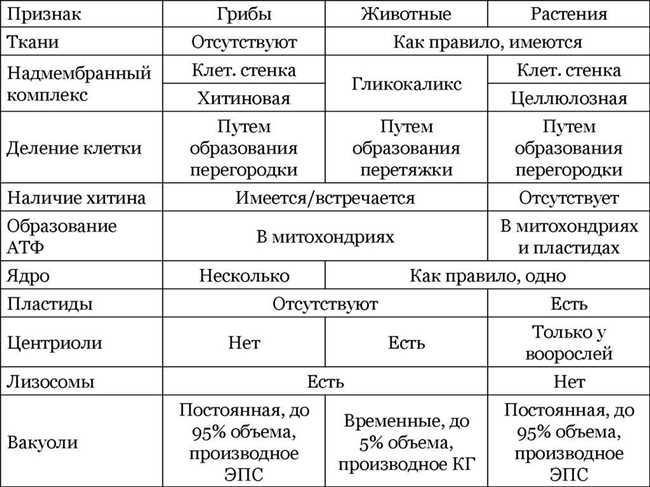 Происхождение