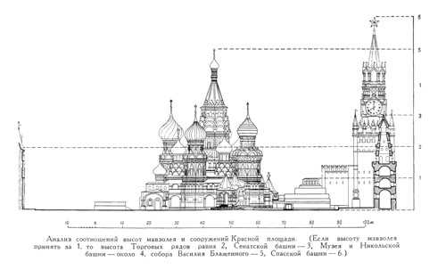 Внешний вид и особенности