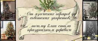 Почему елка символ Рождества? Узнайте историю и значение этого традиционного растения