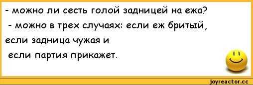 Почему ежи так впечатлительны к задницам? Легенда о напугай ежа голой жопой