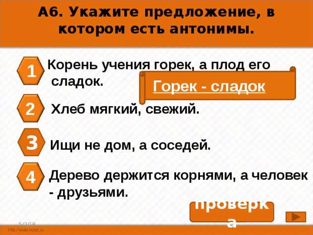 Почему говорят Корень учения горек а плод сладок - разбираемся в причинах