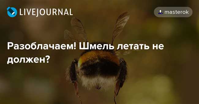 Почему пчелы могут летать: разоблачение мифа о законе аэродинамики