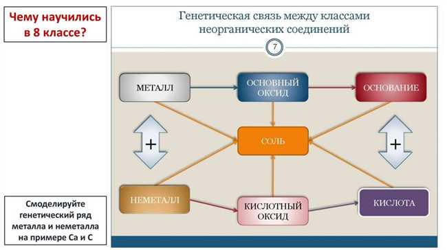 Роль фамилии в генеалогии