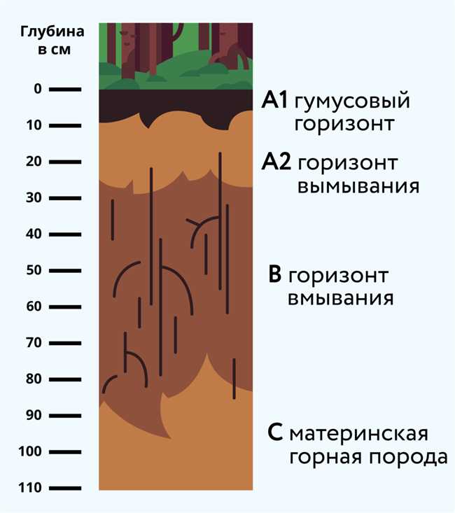 Почвенные особенности Арктических пустынь: основные типы почв и их характеристики