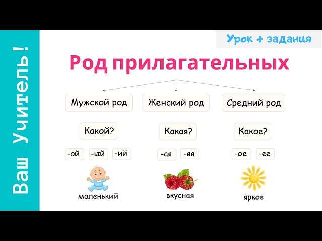 Учите и запоминайте роды