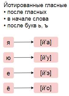 Полный список гласных букв, считающихся йотированными