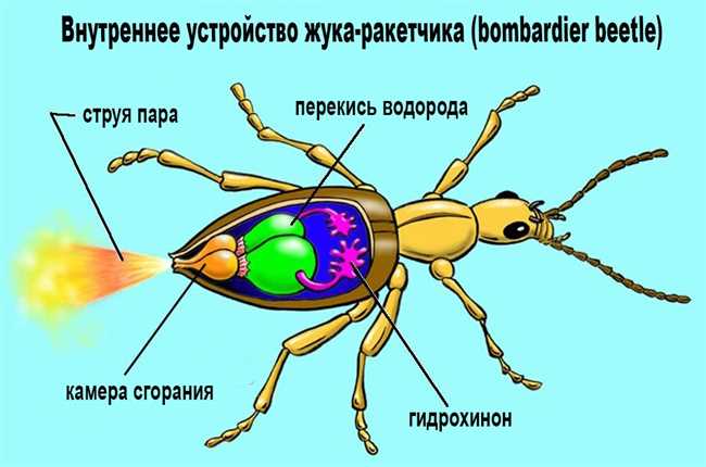 Последствия выпивания шампуня: что происходит с организмом?