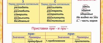 Как правильно использовать слова "наш" и "нашь": примеры и рекомендации