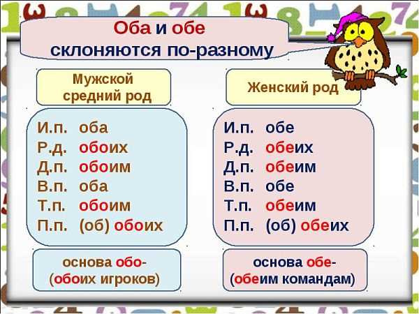 Правила и примеры правильного склонения числительных оба и обе по падежам