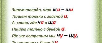 Правила написания слова "растрёпанный" или "растрёпаный": примеры использования и советы - Наука о словах