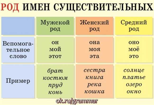 Как определить род существительных?