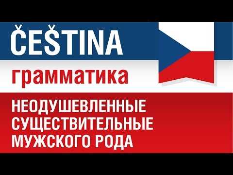 Правила склонения слова «гость»: узнай, как правильно склонять это слово