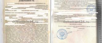 Правильное написание: нотариус или натариус? Ответы на вопросы о правописании и разбор сложных случаев использования