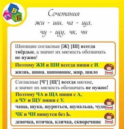 Правильное написание слова щёлка или щолка: как правильно пишется и склоняется