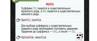 Правила русского языка: правильное написание заданный или заданый