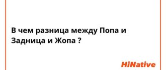 Правильное написание: жопа или жёпа? Правила и рекомендации