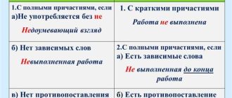 Правила правописания "не рад" и "нерад" в русском языке