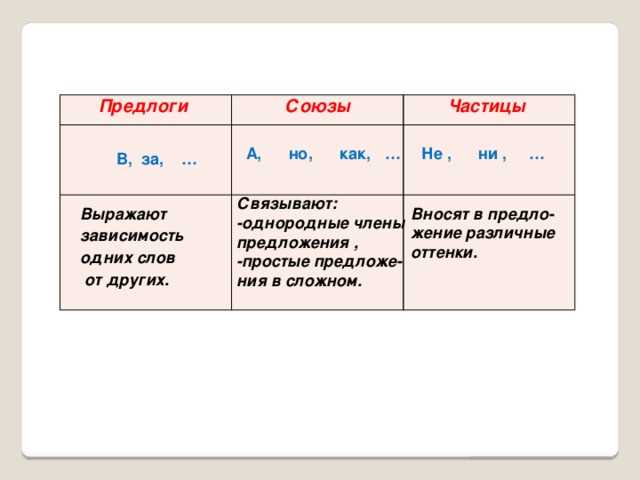 Определение и функции предлогов