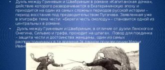 Анализ дуэли Петра Гринева и Швабрина в романе "Капитанская дочка": причины и подробности события